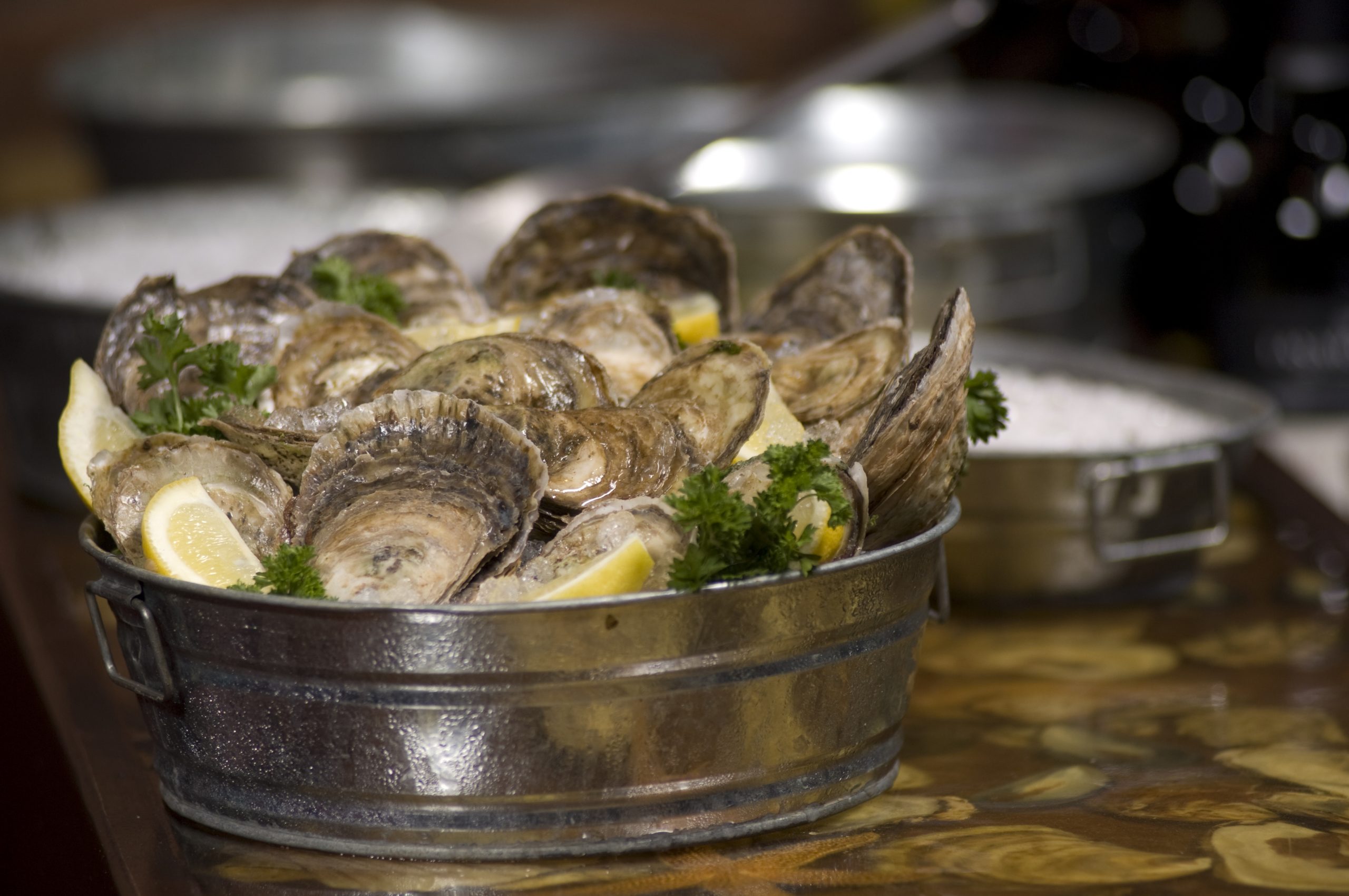 499 UNSHUCKED OYSTER BUCKET 4